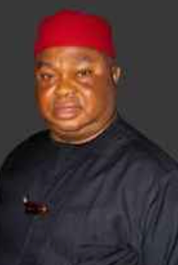 Mbata Has Ordered Me To Elections Into Lagos Ohanaeze –Ogbonna