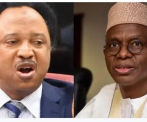 Shehu Sani hits El-Rufai over N1bn payment claim to bandits