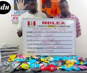 NDLEA uncovers illicit drugs packaged as christmas cookies, arrests distributors 
