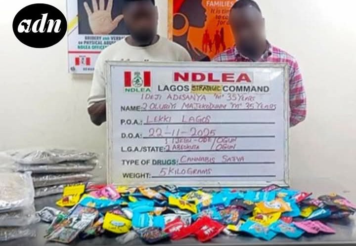 NDLEA uncovers illicit drugs packaged as christmas cookies, arrests distributors 