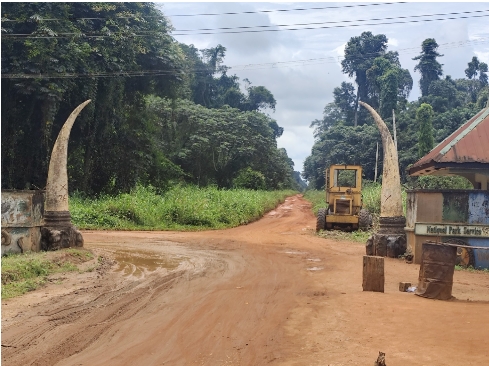 Inside Nigeria’s bold community environmental conservation initiative