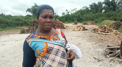 How refinery and highway project wiped out Akwa Ibom’s Stubbs Creek Forest