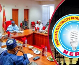 Senate Denies $10m Bribe Claim, Says NERC Nominee Faced Petitions – Arise News