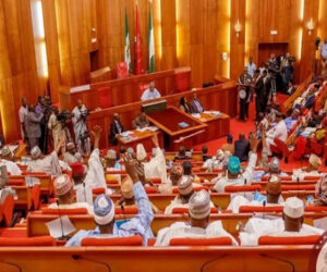 Senate passes bill prohibiting recruitment of underage persons into Nigerian military