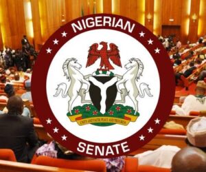 Senate Passes Bill Against Sexual Harassment In Educational Institutions