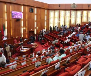 Senate passes bill to transition Nigeria to electric vehicles for second reading