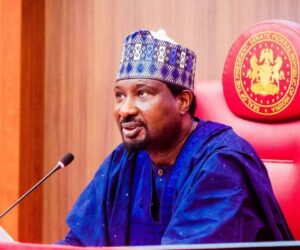 Banditry: Deputy Senate President Hails Troops, Seeks Sustained Onslaught