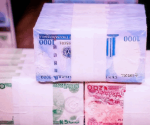 5 ways Nigerian women say they would invest ₦1 million to make more money