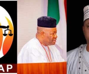 SERAP Sues Akpabio, Abbas Over Alleged ₦3 Million ‘Bribe-For-Bills’ Scandal