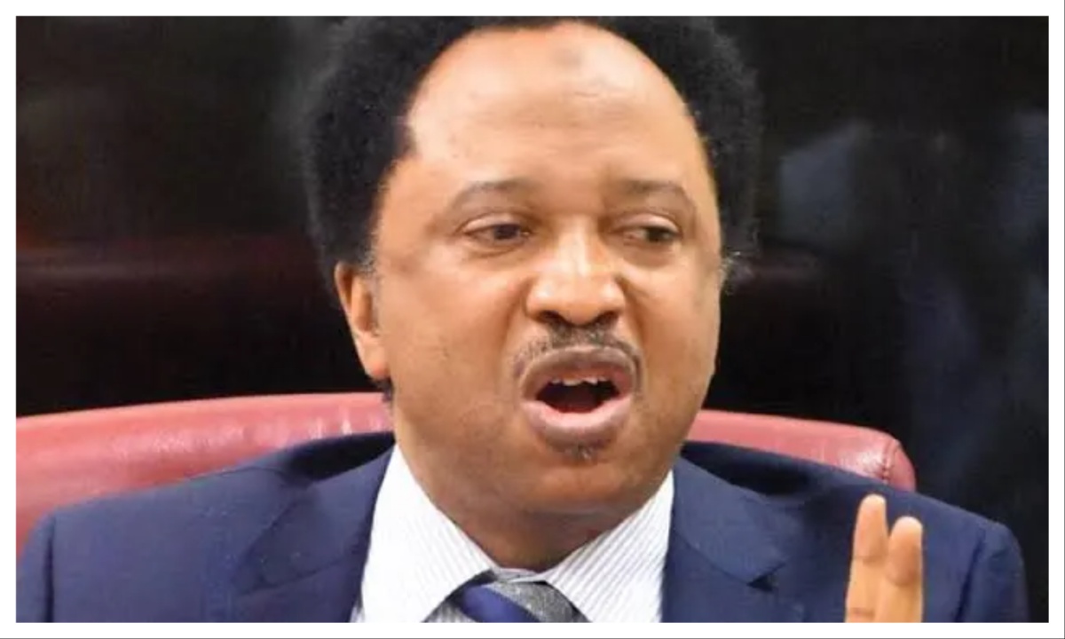 Insecurity: Terrorists not foreigners but Nigerians – Shehu Sani