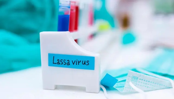 Single-Dose Lassa Fever Vaccine Shows Strong Immunity, Advances To Phase 2 Trials In West Africa – Arise News