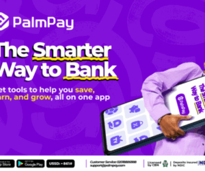 5 Smart Ways Nigerians Use PalmPay Every Day | Tech | Business