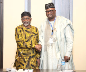 ‎FG Pledges Support For Nurses, Midwives To Host Commonwealth Conference ‎