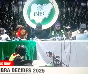 Soludo leads in 19 LGAs, INEC announces