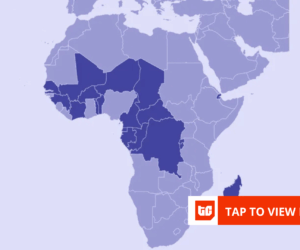 Why Francophone Africa startups fail to scale