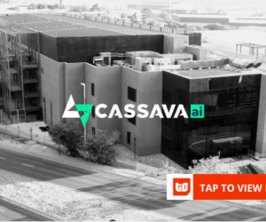 Cassava launches AI multi-model exchange for mobile operators