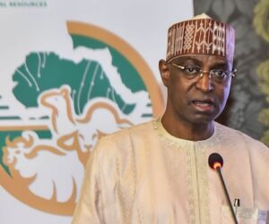 With 50 Million Cattle, Nigeria Targets Up To $94 Billion GDP Contribution From Livestock By 2035 – Arise News