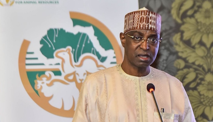 With 50 Million Cattle, Nigeria Targets Up To $94 Billion GDP Contribution From Livestock By 2035 – Arise News