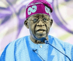  Verheijen Shares Insight On Value Of Reforms In Nigeria’s Energy Sector 