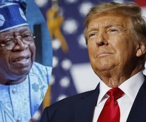 Tinubu, Trump ‘To Meet’ As Bwala Hails US-Nigeria Security Ties, Onanuga Warns Of ‘Orchestrated Game’ – Arise News