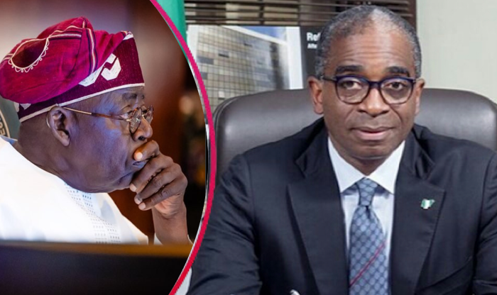 Tinubu, Governors Mourn Former NEPC Executive Segun Awolowo, 62 – Arise News