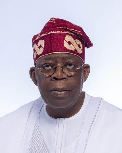 Tinubu Appoints 5 New Perm Secs
