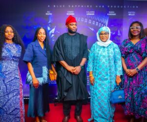 UK Government, Blue Sapphire Hub Move to Accelerate Digital Adoption in Northern Nigeria | Tech | Business