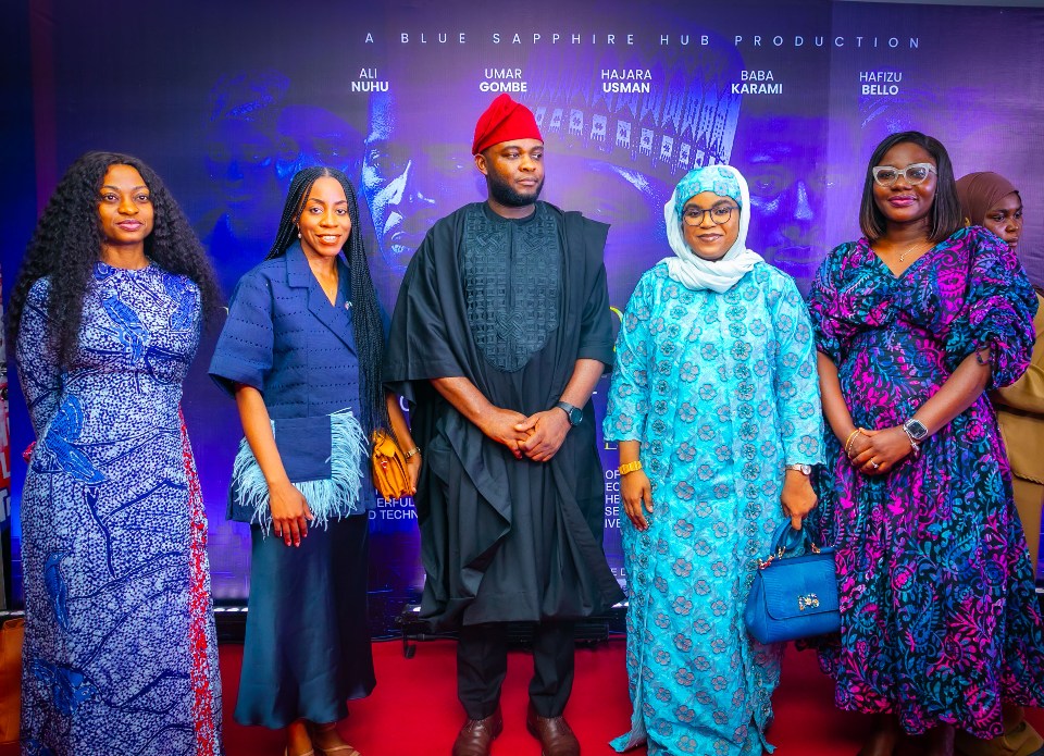 UK Government, Blue Sapphire Hub Move to Accelerate Digital Adoption in Northern Nigeria | Tech | Business