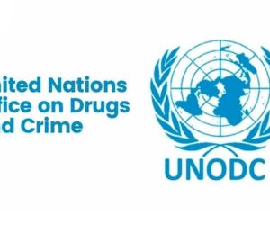 UNODC Urges Tougher Penalties for Revenge Porn Crimes – Arise News
