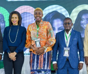  Nigeria’s $31.5bn SDG Financing Gap: Impact Investors Mobilise N1.1trn As Momentum Builds For Inclusive Capital 