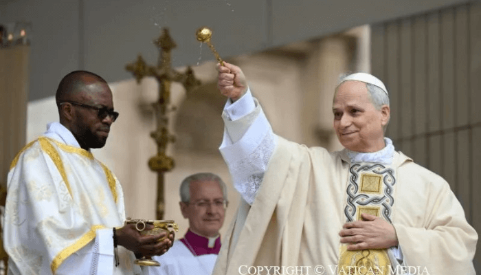 Pope Leo calls for release of kidnapped priests, students in Nigeria and Cameroon