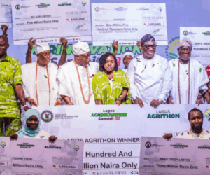 Innovation, partnerships needed to build sustainable food systems – Sanwo-Olu