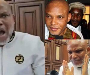 Ex-lead counsel, Ejiofor blames amateur lawyers for Nnamdi Kanu’s life sentence