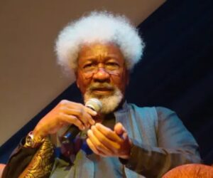 Nigeria’s crisis not Christian-Muslim war but battle against extremists – Soyinka