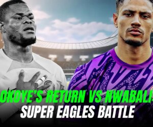 What Is The Implication Of Maduka Okoye’s Return For Stanley Nwabali In The Super Eagles Squad?