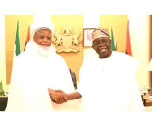 Tinubu meets with Sultan of Sokoto