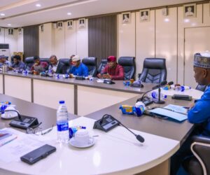 Nigeria govt inaugurates committee to enforce ban on single-use plastics