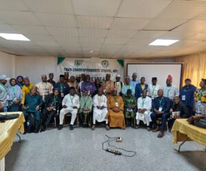 Expert Says Stress, Mental Health, Growing Concern Among Journalists In Nigeria