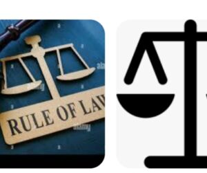 Experts Seek Regulation, Licensing Of Domestic Workers