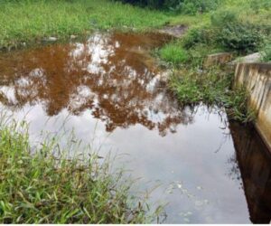 How oil spills devastated Niger Delta community’s waters