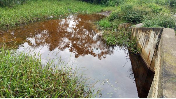 How oil spills devastated Niger Delta community’s waters
