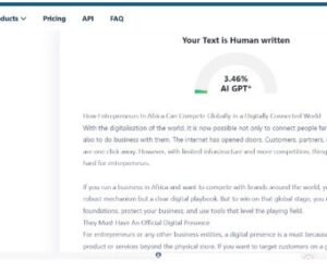 How Entrepreneurs In Africa Can Compete Globally in a Digitally Connected World