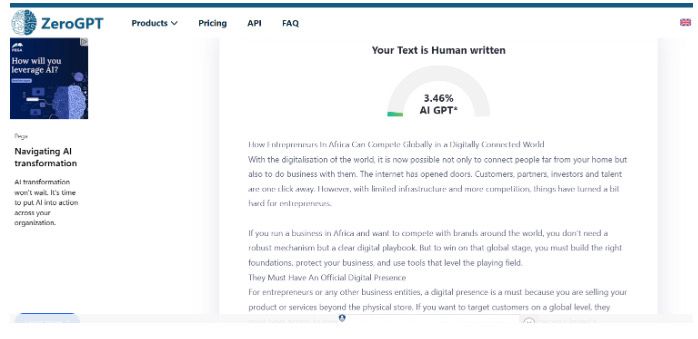 How Entrepreneurs In Africa Can Compete Globally in a Digitally Connected World