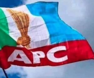 Insecurity: South West APC Calls For Collaborative Efforts, Warns Saboteurs
