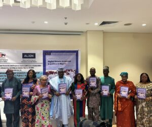 Research shows rising online violence against Nigerian women in politics