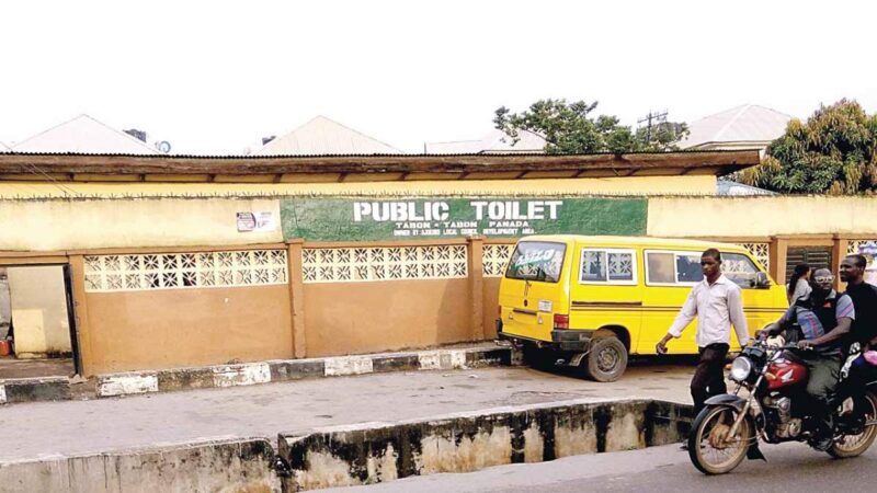 World Toilet Day 2025: Why Nigeria Must Finally End Open Defecation | Tech | Business