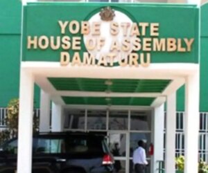 Yobe Assembly decries unprofessional conduct of health workers