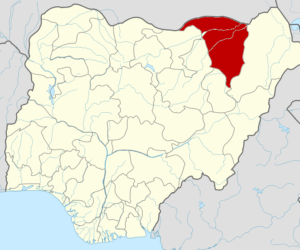 Yobe orders closure of all boarding secondary schools