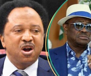 Shehu Sani Gives Wike Priceless Advice after Viral Confrontations with Soldiers