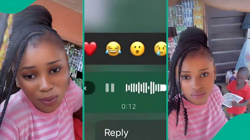 Nigerians Laugh as Little Boy Begs Sister’s Boyfriend Over Break Up Threat: “Wetin You Self Do?”